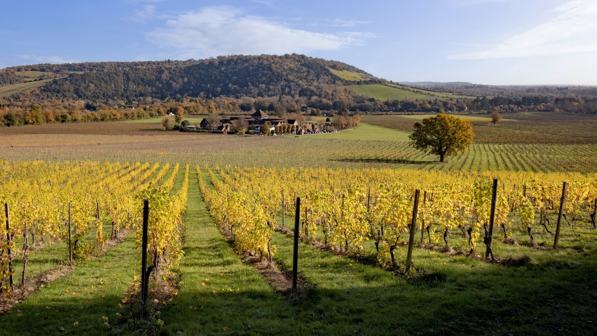 Country Houses in Surrey