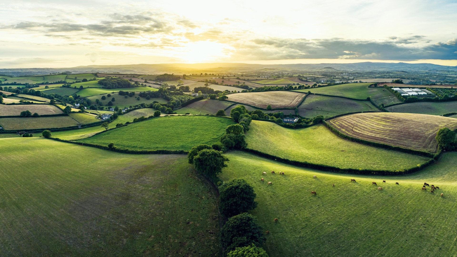 Country Houses in Devon