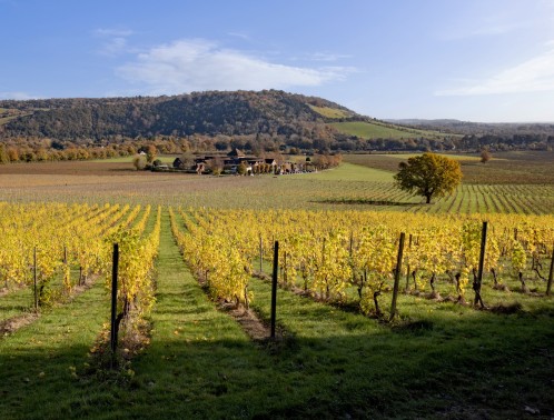 Country Houses in Surrey