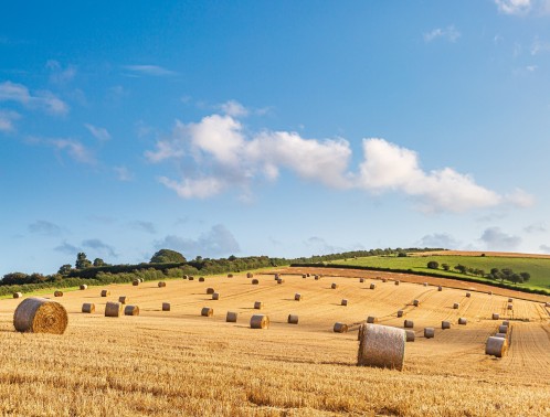 Farms and Estates
