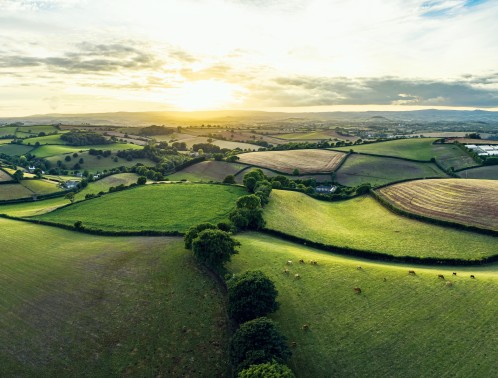 Country Houses in Devon