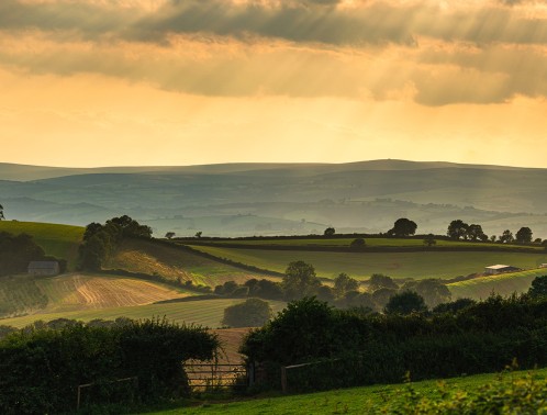Country Houses in Dorset