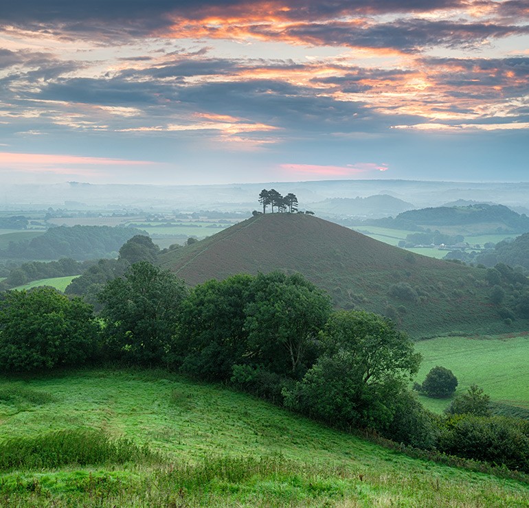 West Dorset