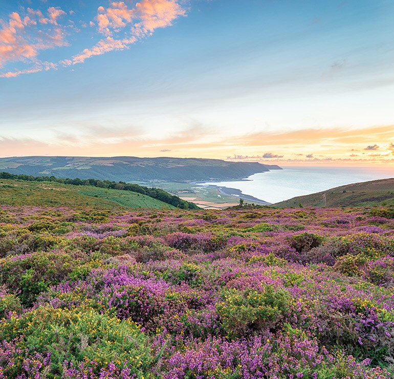 North Somerset