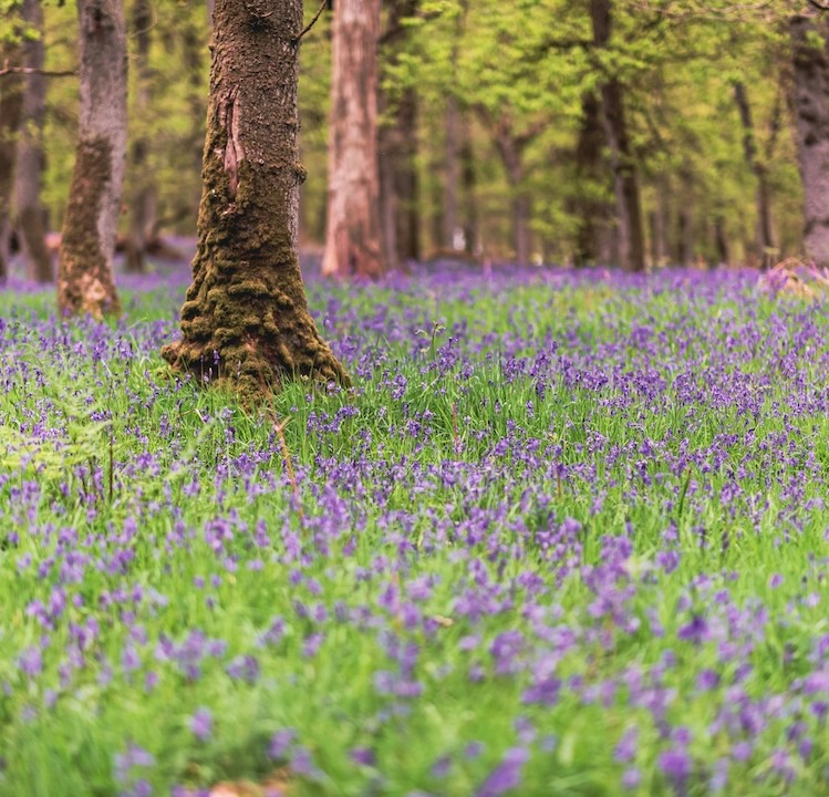 South Oxfordshire