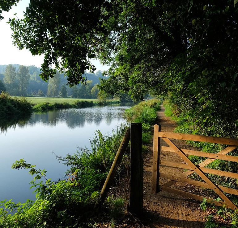 West Surrey